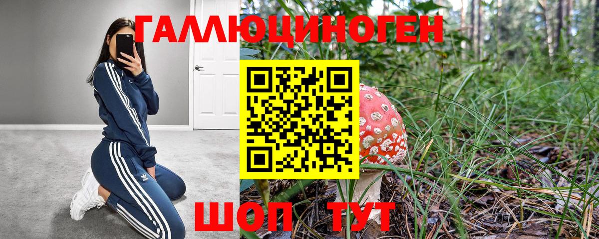 Сосновоборск  Галлюциногенные грибы ЛСД  Вход с VPN 